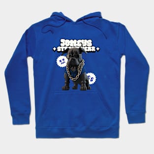 Jomeys street dog Hoodie